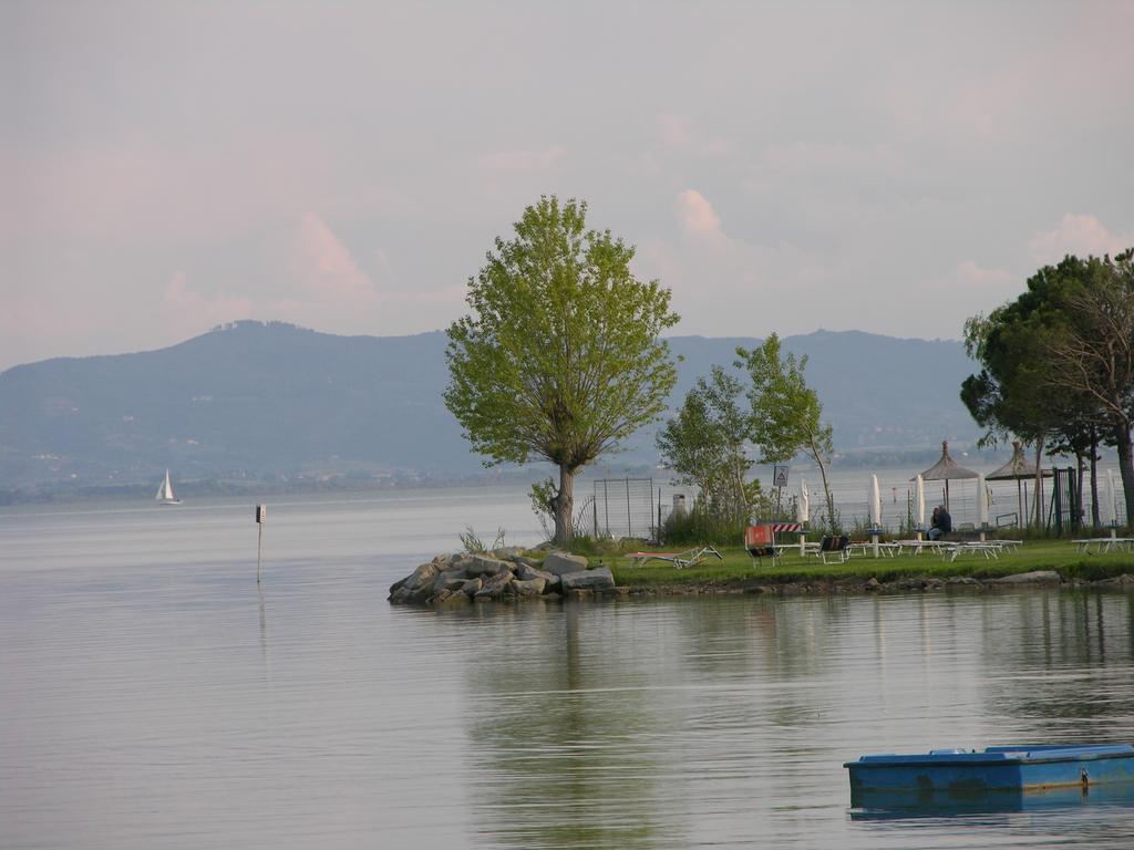 Appartamento Vacanze Magnolia E Glicine ตัวโร ซุล ตราซิเมโน ภายนอก รูปภาพ