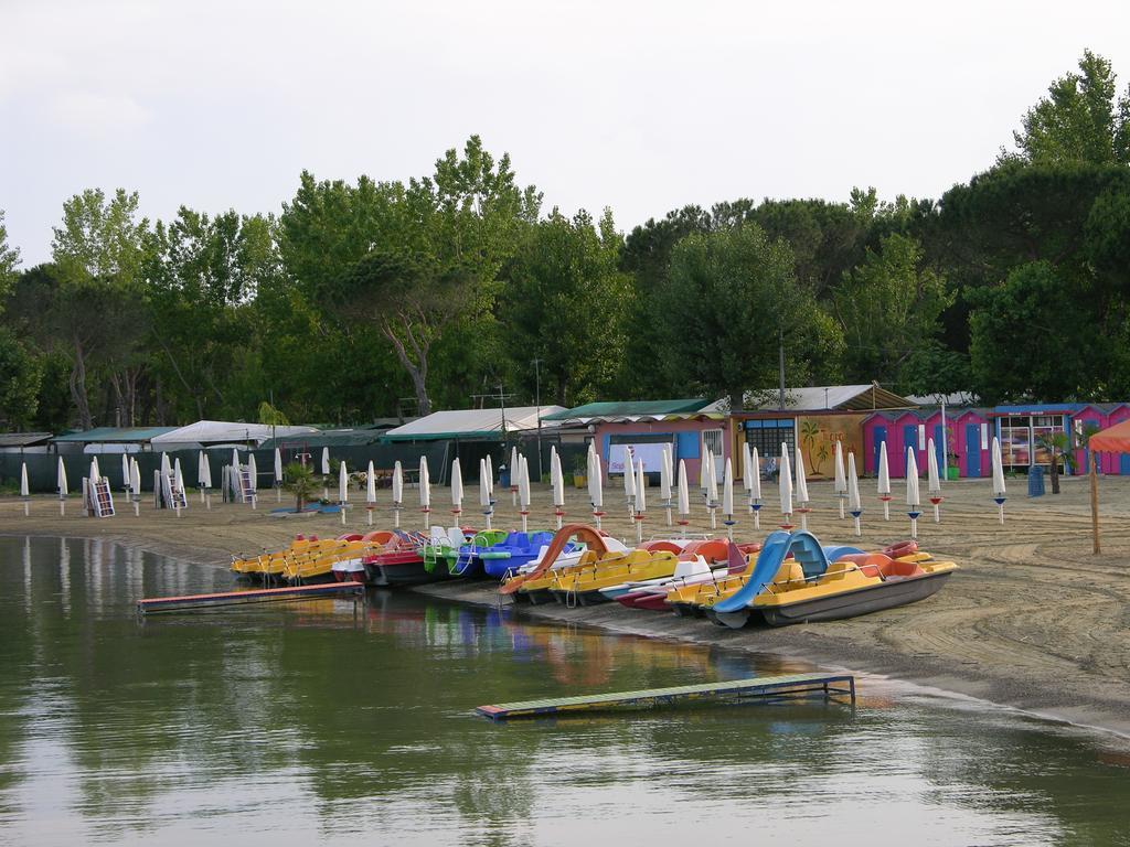 Appartamento Vacanze Magnolia E Glicine ตัวโร ซุล ตราซิเมโน ภายนอก รูปภาพ