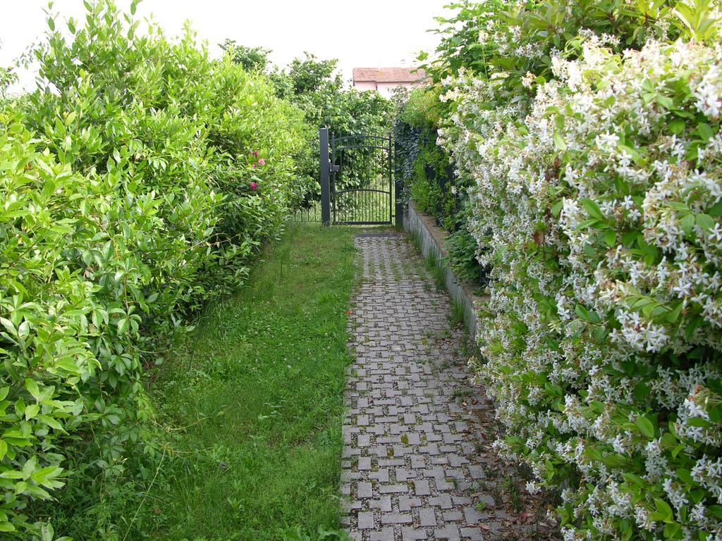 Appartamento Vacanze Magnolia E Glicine ตัวโร ซุล ตราซิเมโน ภายนอก รูปภาพ